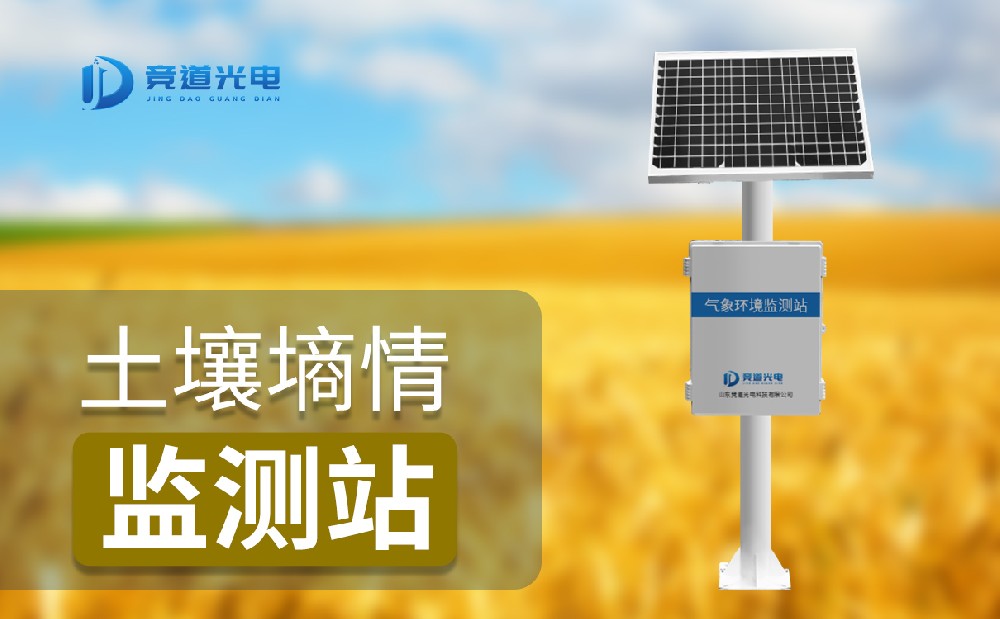 土壤墑情監(jiān)測儀的對(duì)農(nóng)業(yè)的幫助有哪些