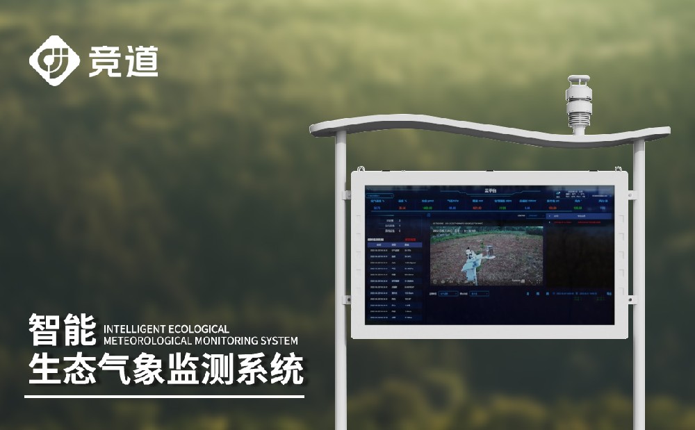 負(fù)氧離子監(jiān)測(cè)儀